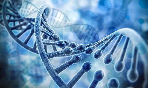 HIGO全球招商课件