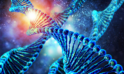 揭秘衰老的真相