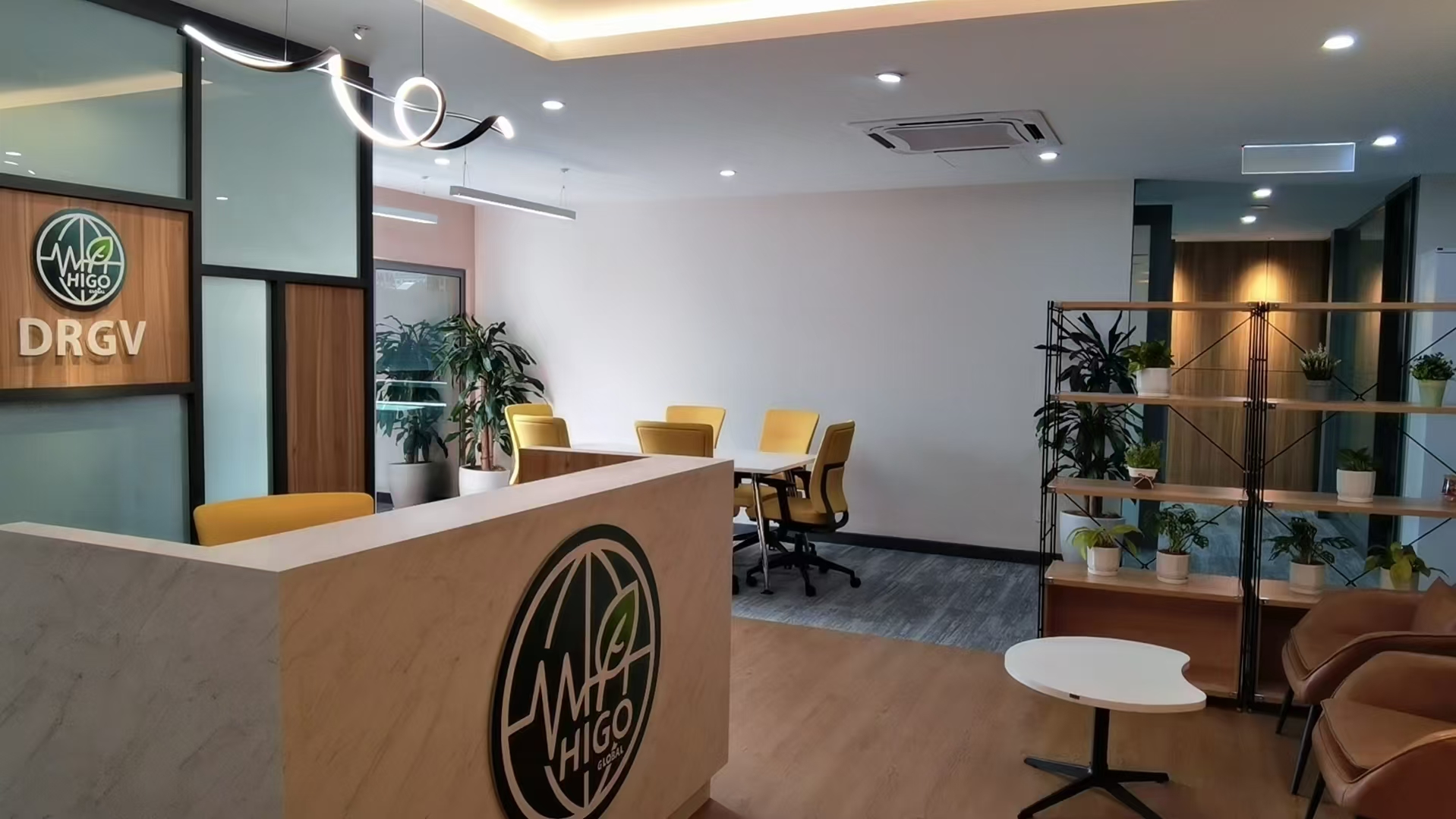 HIGO全球海购公司宣传片