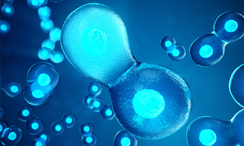 未来活到150岁不是梦！