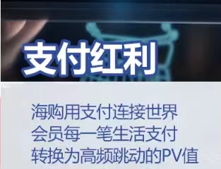 支付红利