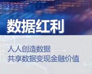 数据红利