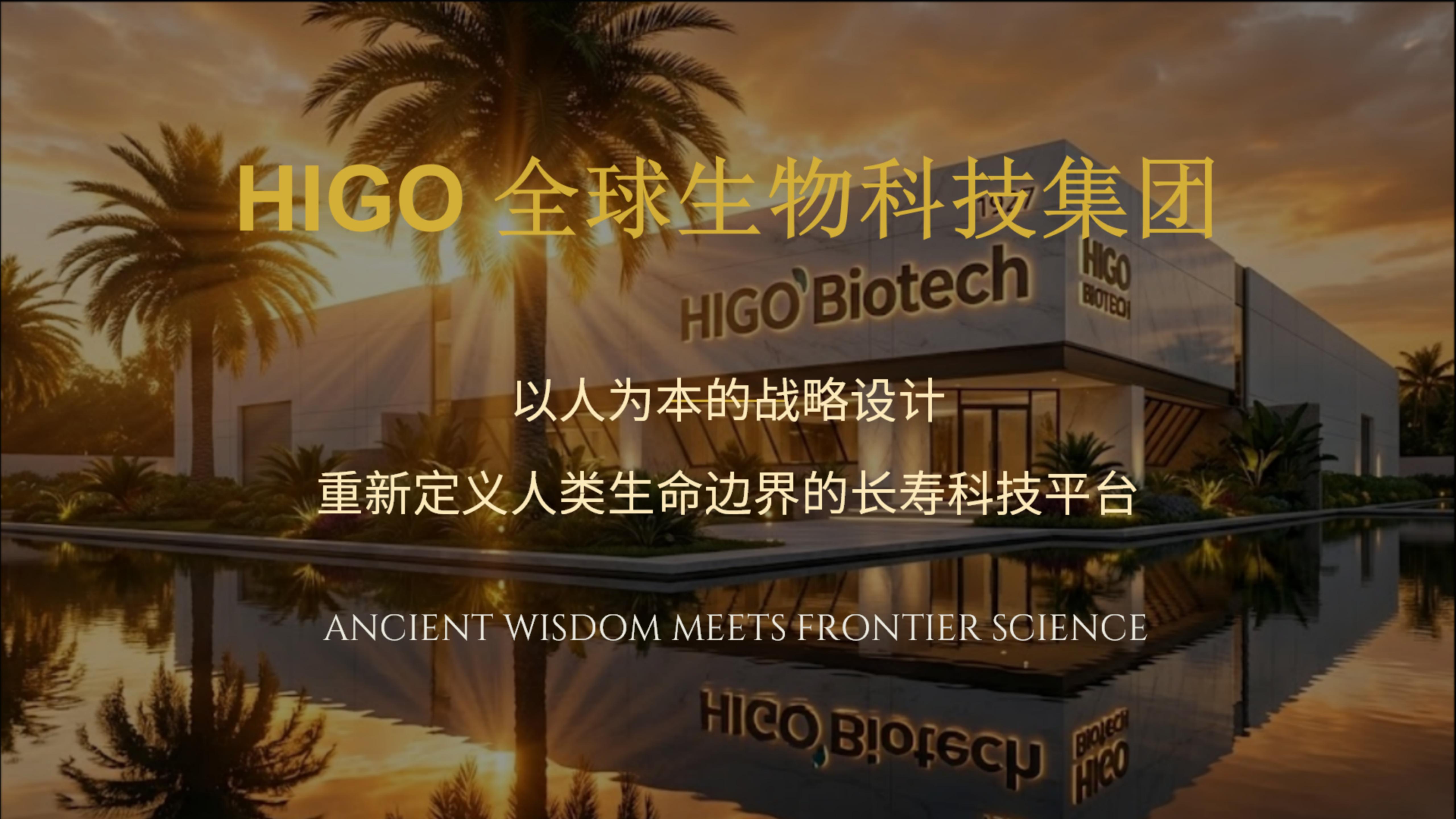 海购全球（HIGO）与其他平台不同之处全景解析及全